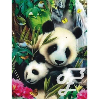 Maman Panda et Bébé