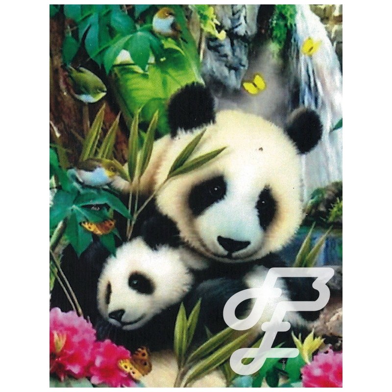 Maman Panda et Bébé