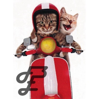 Deux Chats sur un scooter