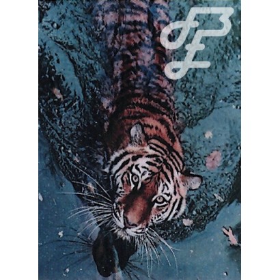 Tigre qui nage