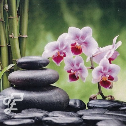 Galets et Orchidée