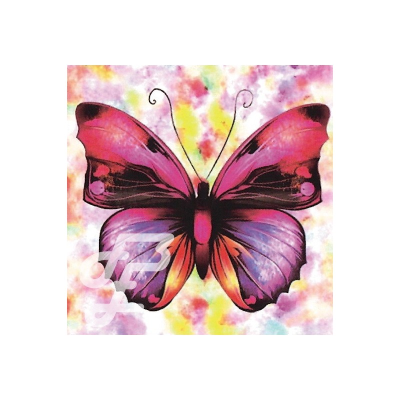 Peinture Papillon