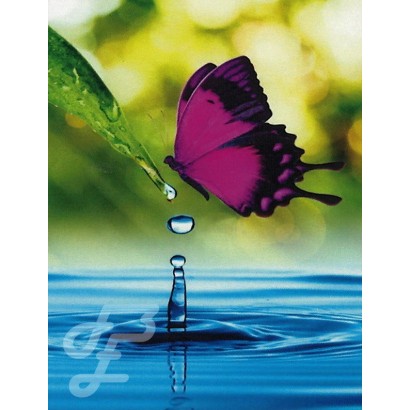 Papillon volant au-dessus de l'eau
