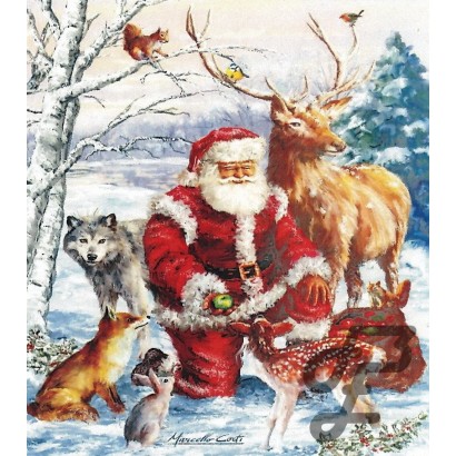 Père Noël et animaux