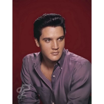 Elvis Presley fond bordeau